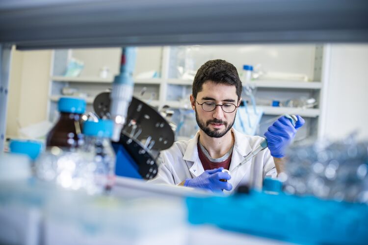 Newton Fund Impact Scheme British Council